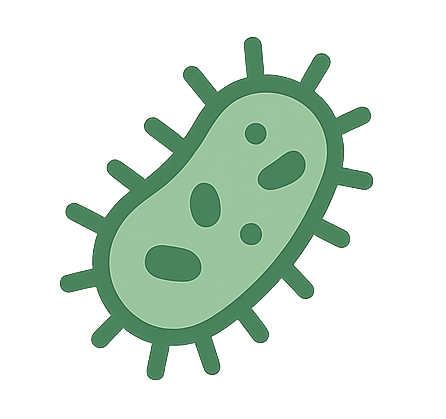 Bacteria Icon