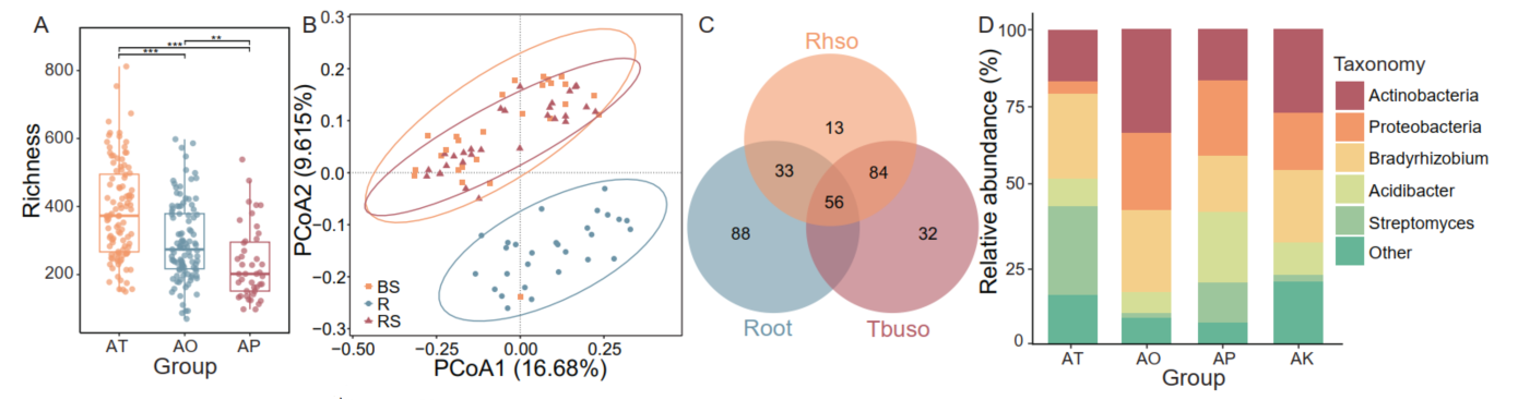 Diversity and Composition Analysis
