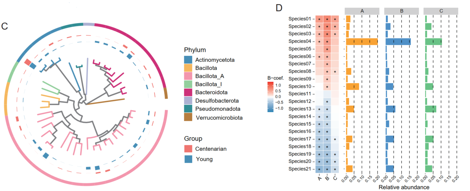 Phylogenetic Tree and Species Analysis