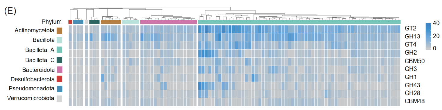 CAZy Functional Gene Analysis