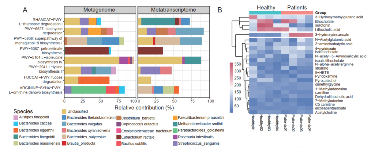 Metabolism Comparison Analysis