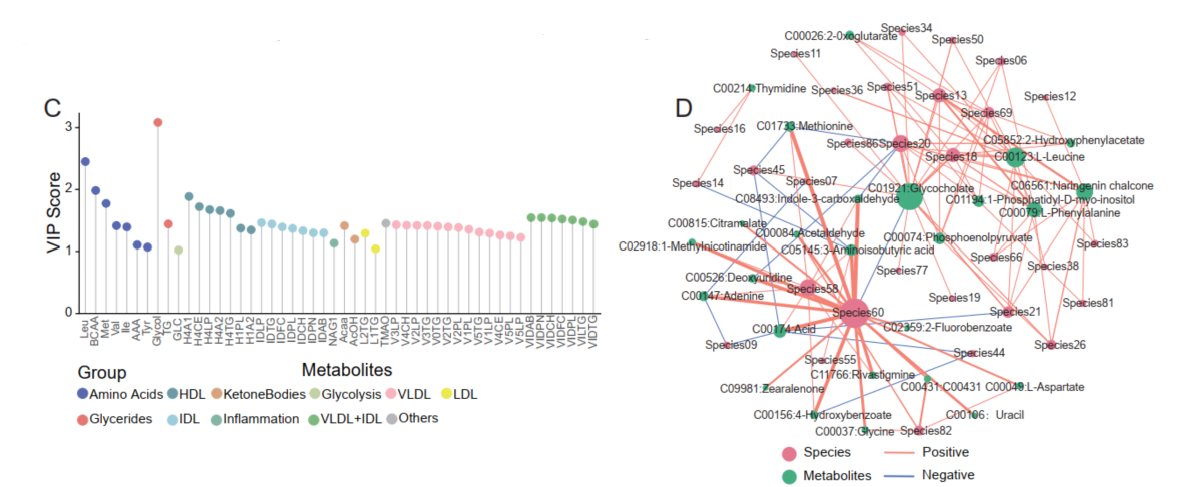 VIP Score and Correlation Network