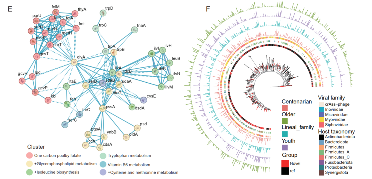 Protein Interaction and Viral Phylogenetic Analysis